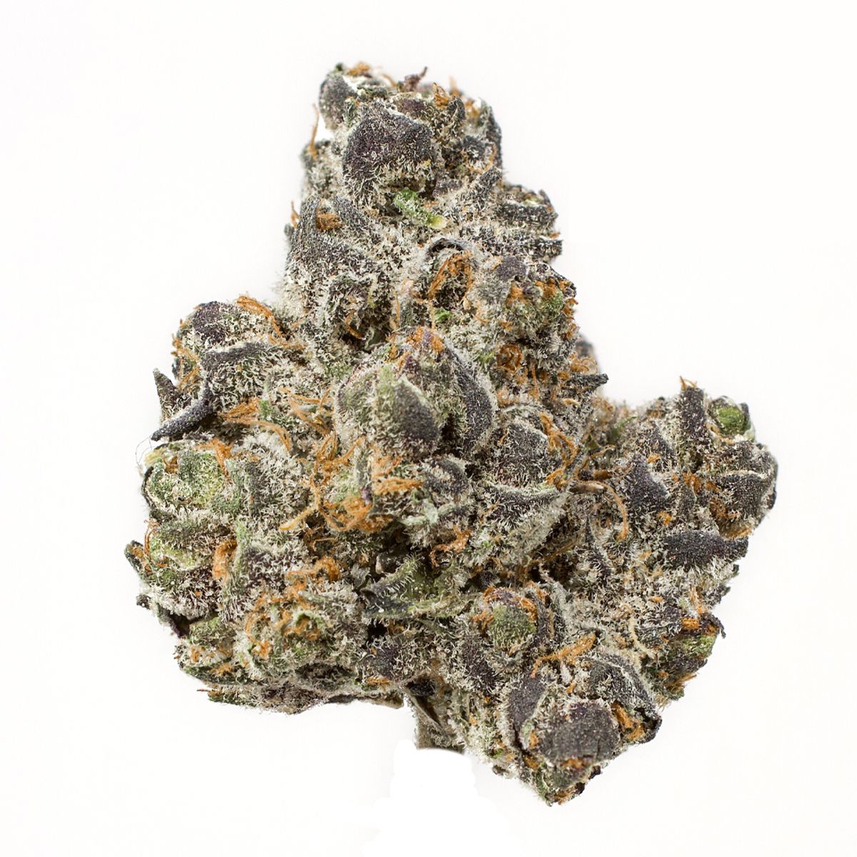 Apple Fritters Strain